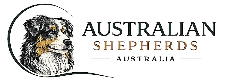 Australian Shepherds