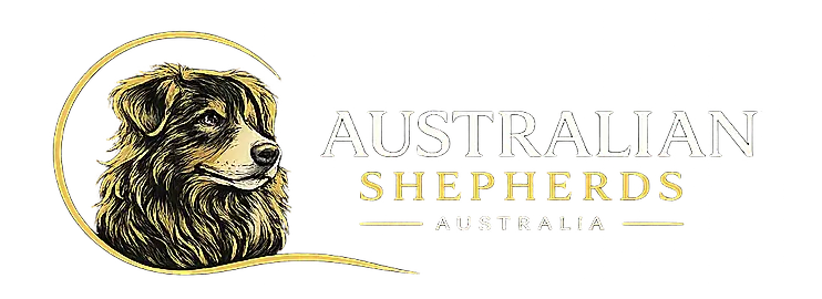 Australian Shepherds