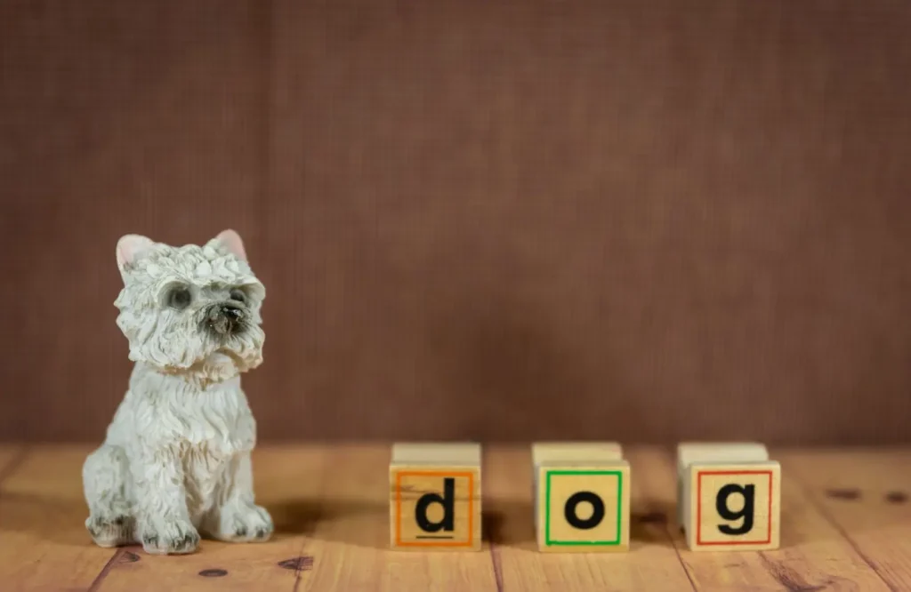 Teaching Australian Shepherds to Know Their Toys by Name