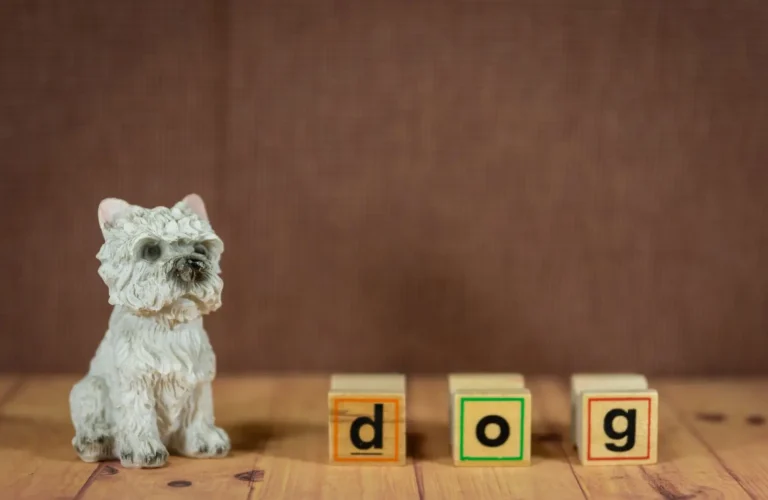 Teaching Australian Shepherds to Know Their Toys by Name